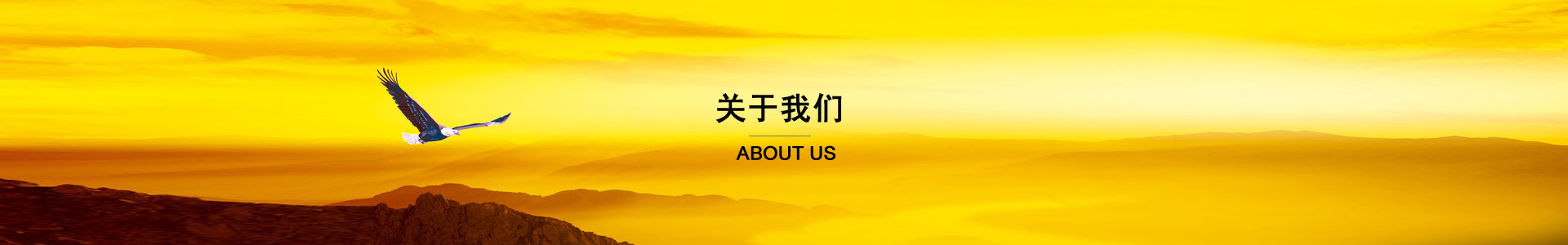 銷售網(wǎng)絡(luò)